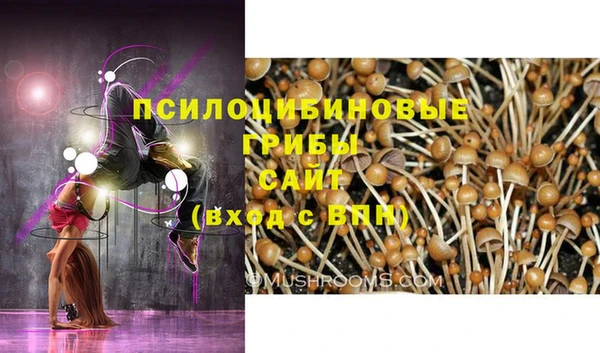 PSILOCYBIN Арсеньев
