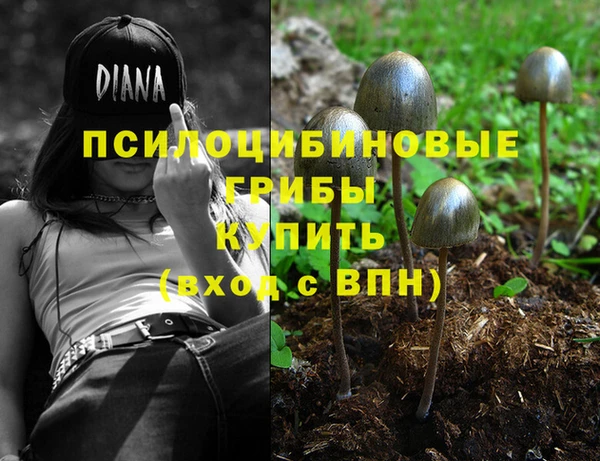 ешки Армянск