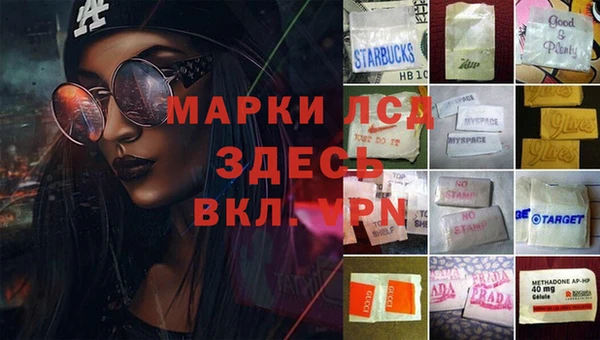 PSILOCYBIN Арсеньев