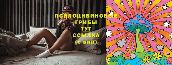 PSILOCYBIN Арсеньев