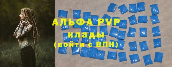 apvp Кадников
