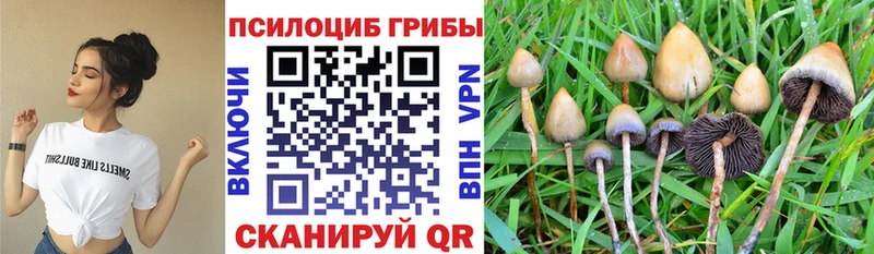 Псилоцибиновые грибы прущие грибы  Козьмодемьянск 