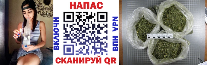 МАРИХУАНА SATIVA & INDICA  продажа наркотиков  маркетплейс клад  Козьмодемьянск 